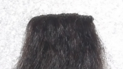 TŘÁSEŇ (TRÉZA) buvolka - černá 20 cm