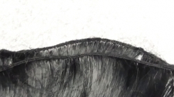 TŘÁSEŇ (TRÉZA) kanekalon - černá 50 cm